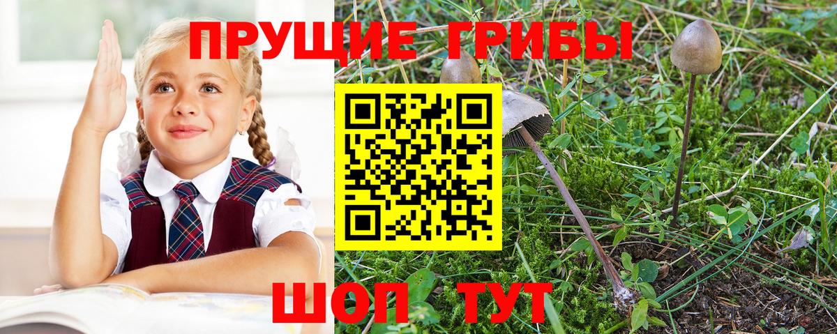 Псилоцибиновые грибы Magic Shrooms Маркс