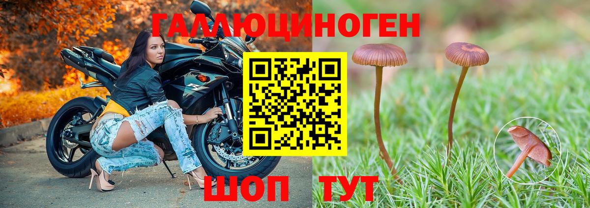 продажа наркотиков  Галлюциногенные грибы мухоморы  Вход с VPN  Маркс 